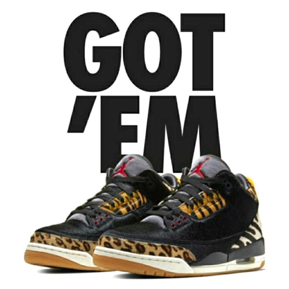 Air Jordan Retro 3 SE "Animal Instinct" Size 10 OG Box